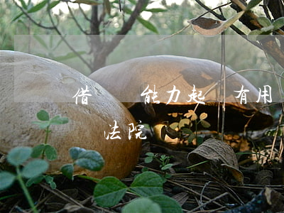 借錢無能力起訴有用嗎(借錢無能力起訴有用嗎法院)