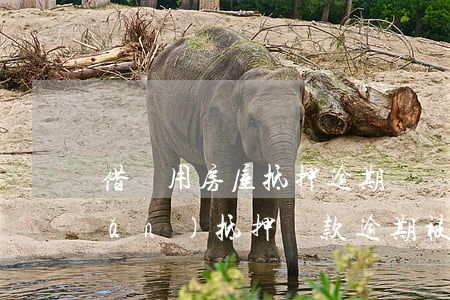 借錢用房屋抵押逾期違約起訴書(房產(chǎn)抵押貸款逾期被起訴)