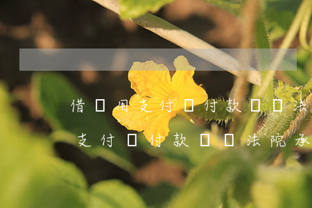 借錢用支付寶付款轉帳法院承認嗎-借錢用支付寶付款轉帳法院承認嗎安全嗎