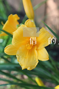 借錢的人被起訴 借錢的人被起訴會坐牢嗎