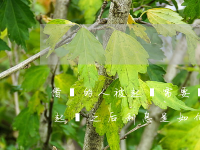 借錢的人被起訴需要還利息怎么算-借款被起訴之后利息是如何計算