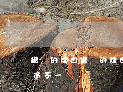 借錢的理由(借錢的理由和實(shí)際用途不一樣)