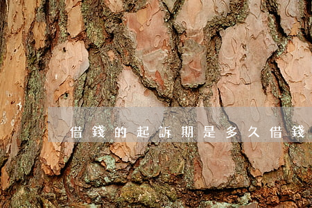 借錢的起訴期是多久(借錢起訴的訴訟時效)