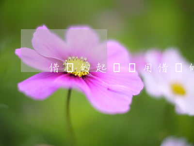 借錢的起訴費用(借錢的起訴費用誰承擔)