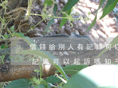 借錢給別人有記錄可以起訴嗎(借錢給別人有記錄可以起訴嗎知乎)