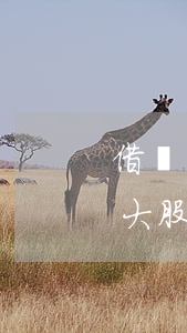 借錢給大股東可以起訴他的公司嗎-借錢給大股東可以起訴他的公司嗎合法嗎