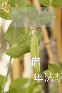 借錢給對(duì)方超過(guò)多少年法院不受理-借錢給對(duì)方超過(guò)多少年法院不受理了
