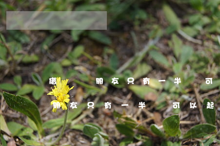 借錢給朋友只有一半還可以起訴嗎-借錢給朋友只有一半還可以起訴嗎怎么辦