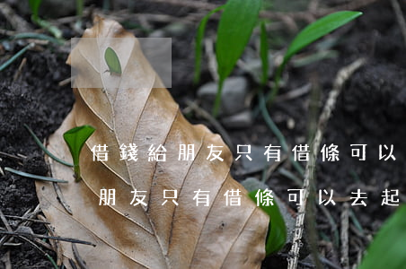 借錢給朋友只有借條可以去起訴嗎-借錢給朋友只有借條可以去起訴嗎有效嗎