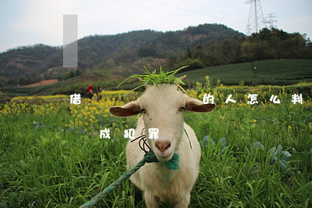 借錢給開賭場的人怎么判刑(給賭博的人借錢構成犯罪嗎)