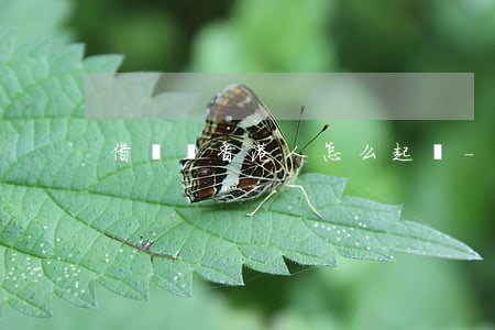 借錢給香港人怎么起訴-遇到香港人借錢