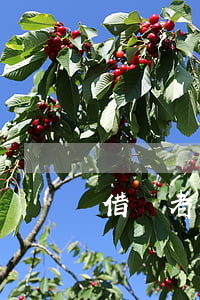 借錢者如何起訴 借錢怎么向法院起訴