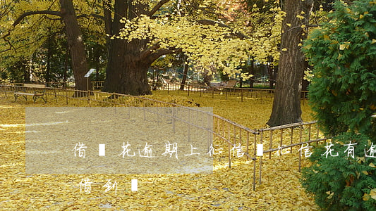 借錢花逾期上征信嗎(征信花有逾期哪里可以借到錢)