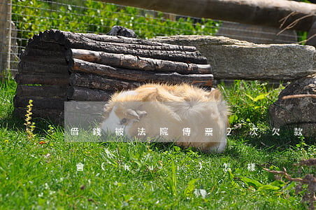 借錢被法院傳票2次(欠款法院傳票兩次不去會(huì)怎樣)