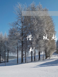 借錢被起訴一般怎么判(借錢被起訴一般怎么判)