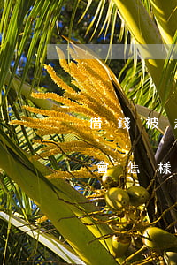 借錢被起訴一般怎么判(民間借錢被起訴法院會怎樣辦)