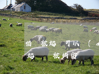 借錢被起訴可以調(diào)解嗎(借錢被起訴會被拘留嗎)