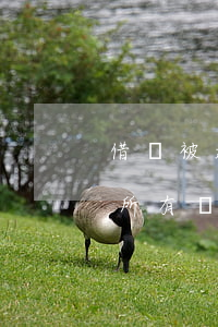 借錢被起訴后會(huì)凍結(jié)所有銀行卡嗎-借錢被起訴后會(huì)凍結(jié)所有銀行卡嗎