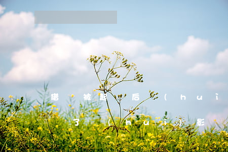 借錢被起訴后會(huì)怎么樣(借錢被起訴了會(huì)影響以后得生活嗎)