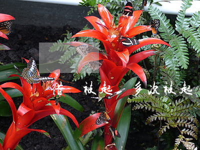 借錢被起訴多次被起訴