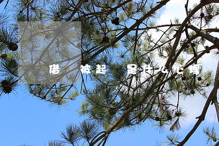 借錢被起訴是什么心理