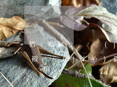 借錢被起訴會凍結(jié)微信(被起訴會被凍結(jié)微信支付寶嗎)