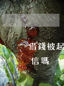 借錢被起訴會被判刑嗎-借錢被起訴會上征信嗎