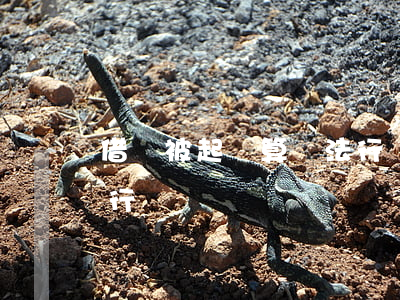 借錢被起訴算違法行為嗎(借錢被起訴算違法行為嗎)