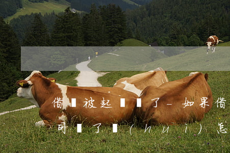 借錢被起訴輸了-如果借錢不還被起訴,打官司輸了會(huì)怎樣