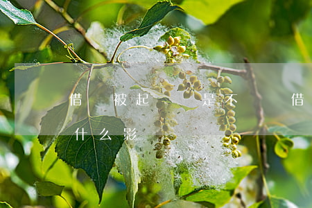 借錢被起訴還是不還錢(借錢不還被起訴會有什么影響)