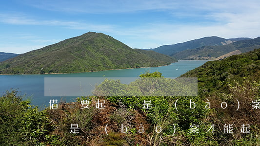借錢要起訴還是報(bào)案(借錢要起訴還是報(bào)案才能起訴)