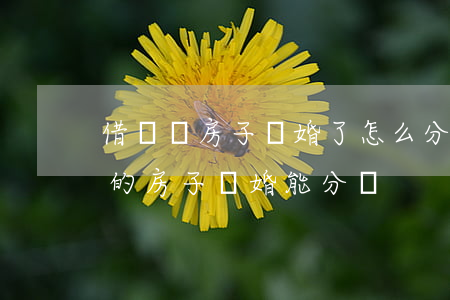 借錢買房子離婚了怎么分割(老公婚前借錢買的房子離婚能分嗎)