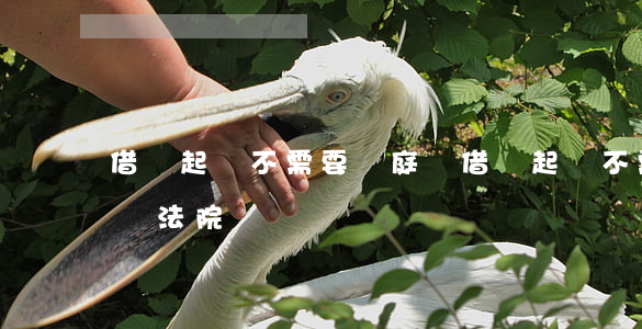 借錢起訴不需要開庭嗎(借錢起訴不需要開庭嗎法院)
