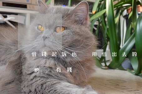 借錢起訴也沒用(借出去的錢起訴了也沒有用他沒有錢)