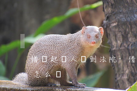 借錢起訴人沒到法院-借錢起訴人沒到法院怎么辦