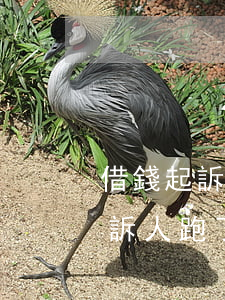借錢起訴人跑了會(huì)判刑嗎（借錢起訴人跑了）
