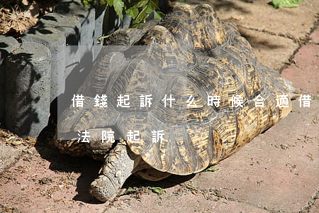 借錢起訴什么時候合適(借錢什么時候可以到法院起訴)