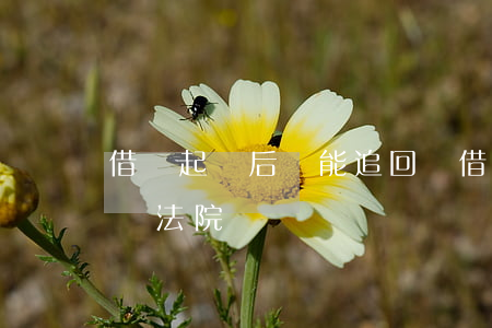 借錢起訴后還能追回嗎 借錢起訴后還能追回嗎法院