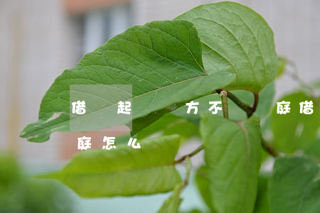 借錢起訴對方不來開庭(借錢起訴對方不來開庭怎么辦)
