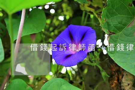 借錢起訴律師函-借錢律師函怎么寫