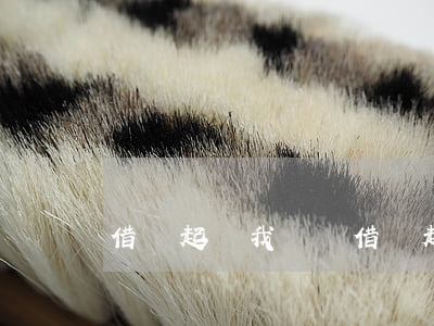 借錢起訴我還錢(借錢起訴能把錢要的回來嗎)