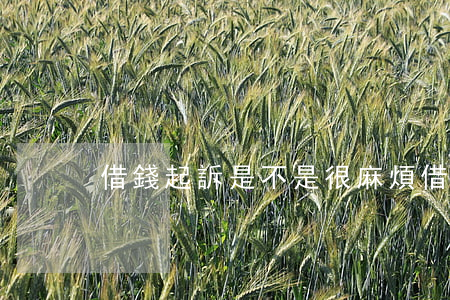 借錢起訴是不是很麻煩(借錢起訴能拿到錢嗎)