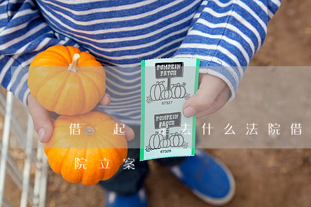 借錢起訴是去什么法院(借錢起訴是去什么法院立案)