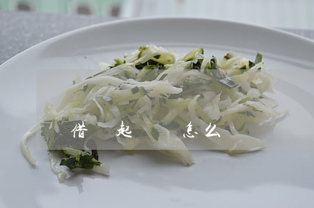 借錢起訴書怎么寫