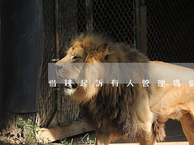 借錢起訴有人管理嗎(借錢起訴有人管理嗎)