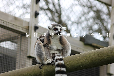 借錢起訴沒用怎么辦(借錢起訴沒用怎么辦呢)