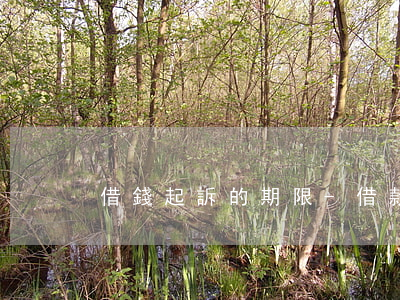 借錢起訴的期限-借款起訴幾年有效