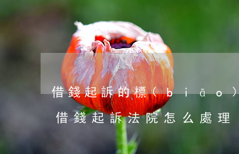 借錢起訴的標(biāo)準(zhǔn) 借錢起訴法院怎么處理