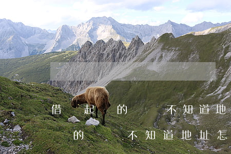 借錢起訴的訴狀不知道地址怎么辦-借錢起訴的訴狀不知道地址怎么辦呢