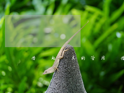 借錢起訴真的管用嗎(借錢起訴法院怎么處理)